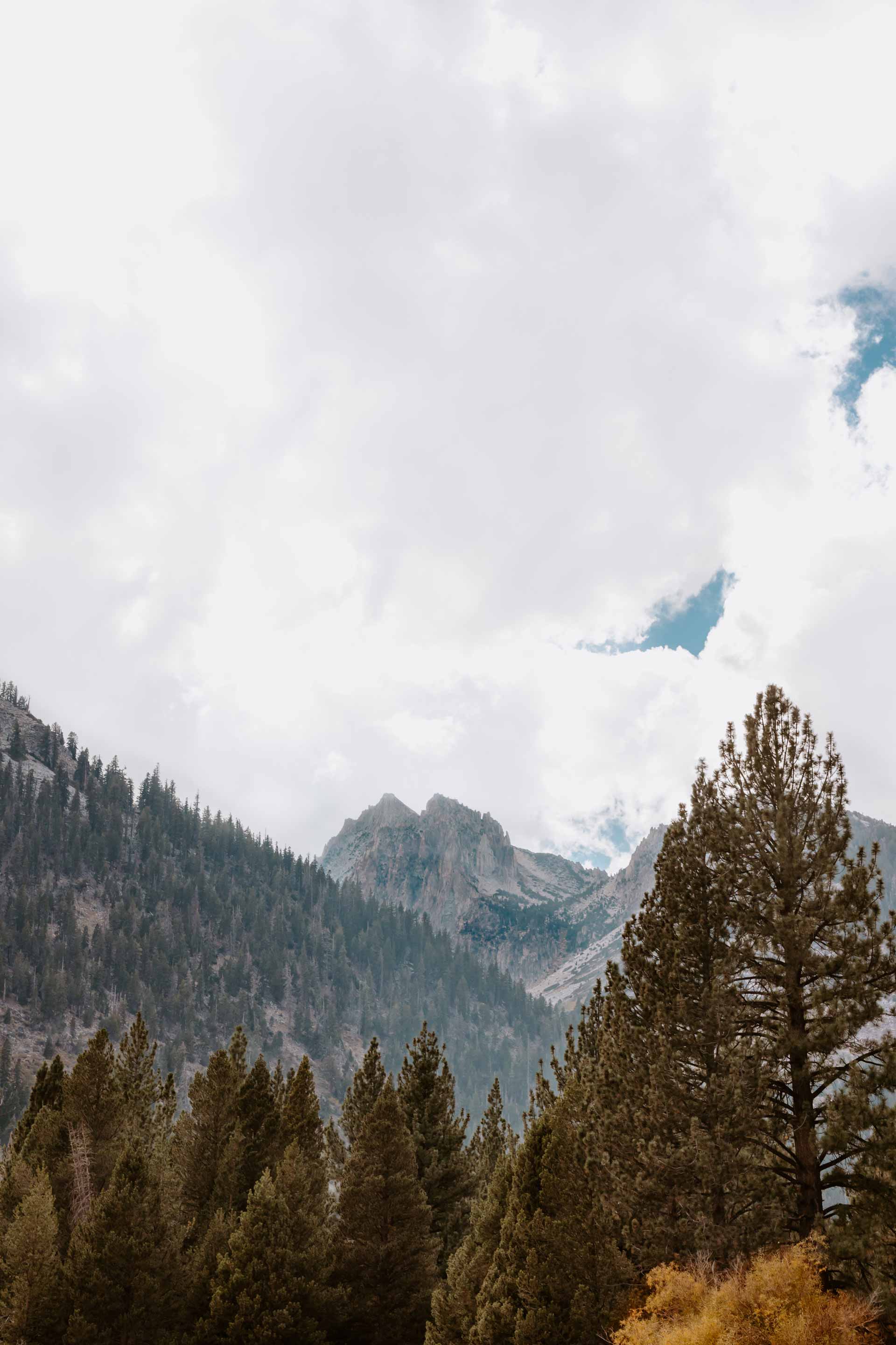 hedda arch mountains woods a big pike pine trees woods and a very cloudy sky with fluffy white clouds
