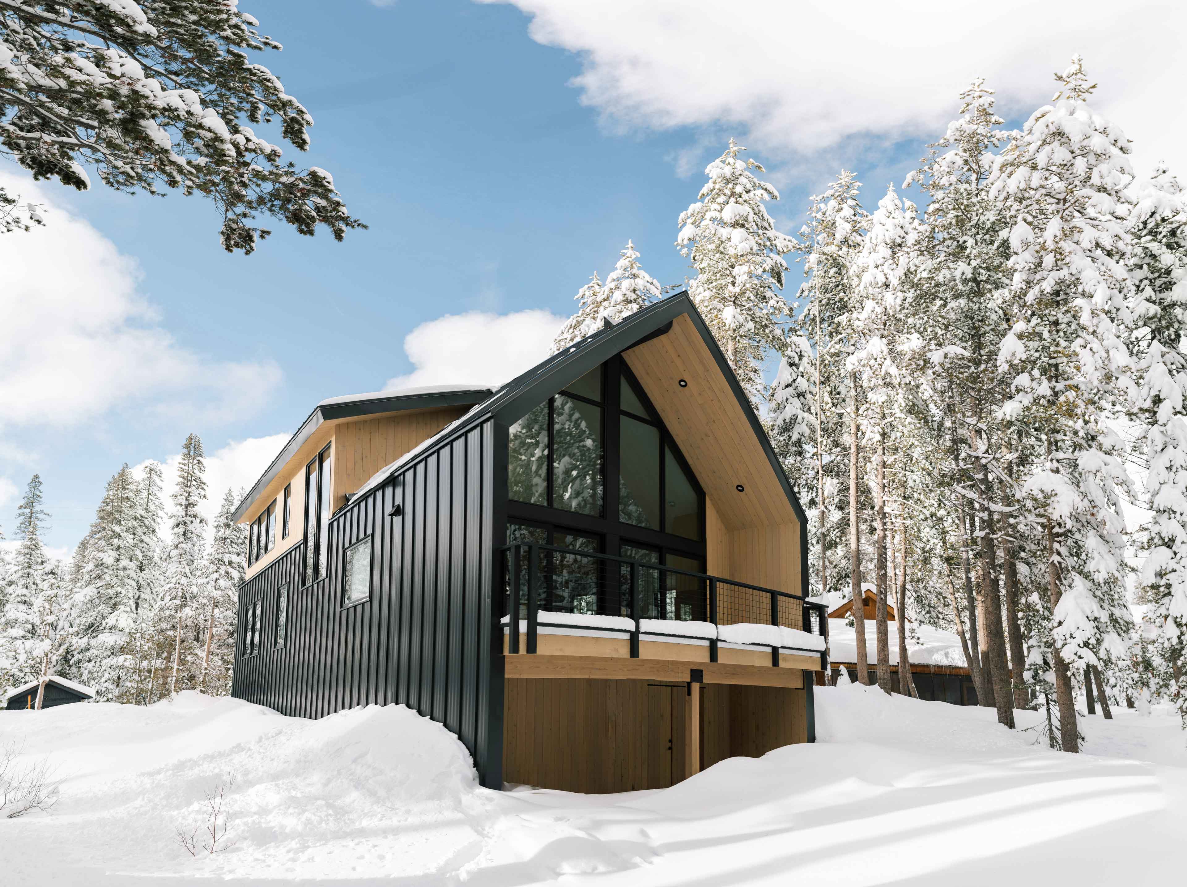 Hemlock 3 1